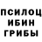 Галлюциногенные грибы Magic Shrooms Zombirov YT