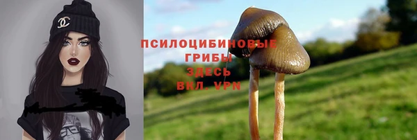 прущая мука Белокуриха